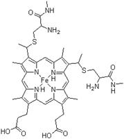 Cytochrome C